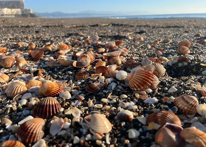 Castillo Santa Clara Front * トレモリノス